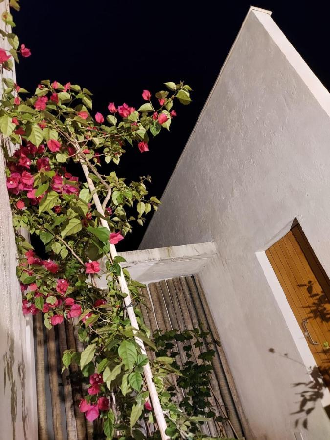 Statera Host Villa Alto Paraíso de Goiás Eksteriør billede